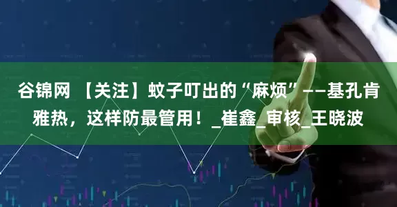 谷锦网 【关注】蚊子叮出的“麻烦”——基孔肯雅热，这样防最管用！_崔鑫_审核_王晓波